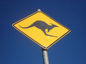 807208_kangaroo_sign.jpg