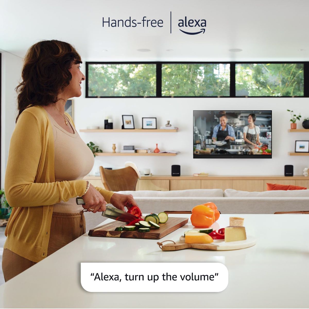 z_Hands-free Alexa_resized