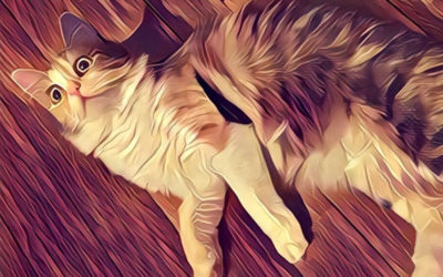 Филтрите на Prisma вече могат да се използват офлайн